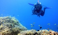 Protect reefs through sustainable tourism in Indonesia in Indonesia, Run by: The Reef-World Foundation 