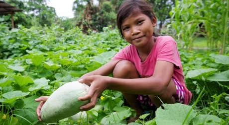 School vegetable gardens in Siem Reap, Cambodia