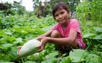 School vegetable gardens in Siem Reap, Cambodia in Cambodia, Run by: Plan International Australia 