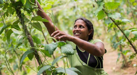 Food Security in Sri Lanka