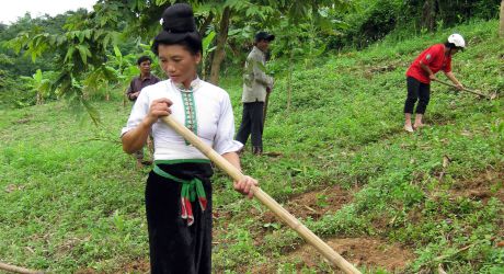 Women's small business enterprises, Vietnam