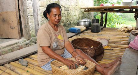 Ending malnutrition in Sumba, Indonesia