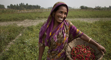 Empowering Communities in Bangladesh