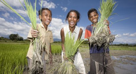 Empower Rural Communities in Timor-Leste