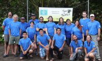 Protect Sea Turtles in Costa Rica in Costa Rica, Run by: Sea Turtle Conservancy 