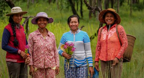 Conserve Mekong Ecosystems, Cambodia