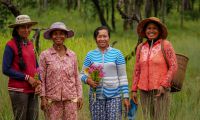 Conserve Mekong Ecosystems, Cambodia in Cambodia, Run by: Oxfam Australia 