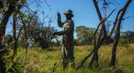 Protect wildlife from poachers in the Serengeti