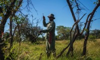 Protect wildlife from poachers in the Serengeti in Tanzania, Run by: Frankfurt Zoological Society - US 