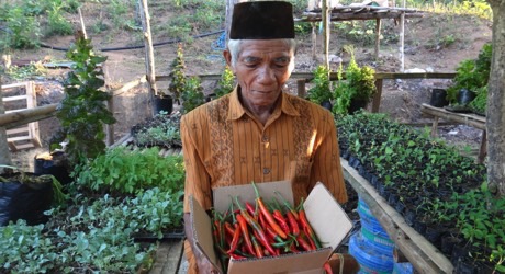 Educate Communities for Food Security in Nias, Indonesia