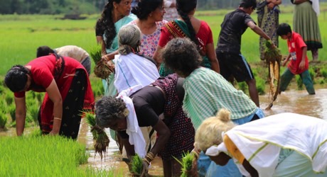 Empower Farmers for Sustainable Tourism in South India