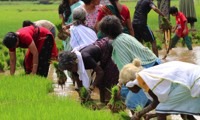 Empower Farmers for Sustainable Tourism in South India in India, Run by: Kabani - The Other Direction 