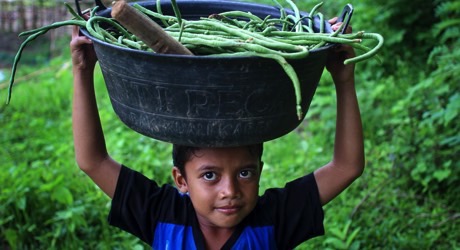 Improve family nutrition in remote Indonesia