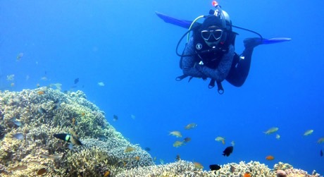 Protect reefs through sustainable tourism in Indonesia