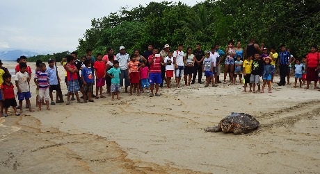 Save sea turtles through ecotourism in Panama