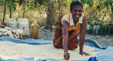Strengthen food security in Timor-Leste