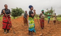 Train female soy farmers in Tanzania in Tanzania, Run by: CARE Australia 