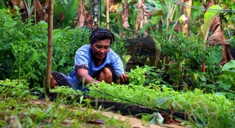 Sustainable Solar Powered Water Facilities, Mentawai Islands