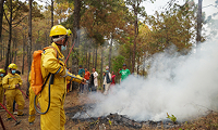 Protect communities from forest fires in the Himalaya in Nepal, Run by: Australian Himalayan Foundation 