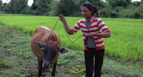 Youth Vocational Training & Empowerment, Cambodia